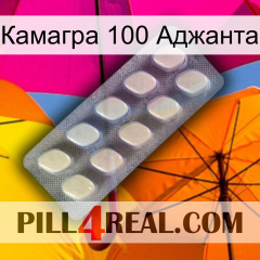 Камагра 100 Аджанта 08